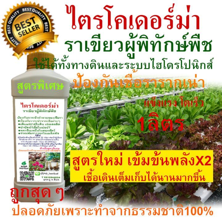 No. 8 - ปุ๋ย AB สูตร N&P Herbal - 4