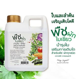 7 ประเภทของปุ๋ยผักที่คุณควรรู้จัก- 5