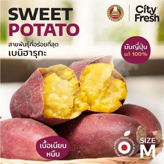 สำรวจมันหวานญี่ปุ่นยอดนิยมในปี 2024- 5
