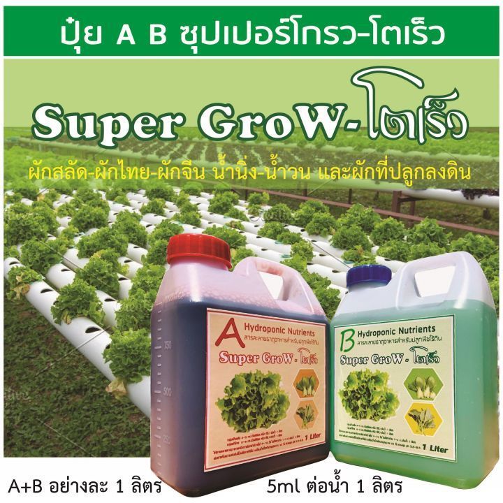 No. 4 - ปุ๋ยผัก ไฮโดรโปนิกส์ Super Grow - 1