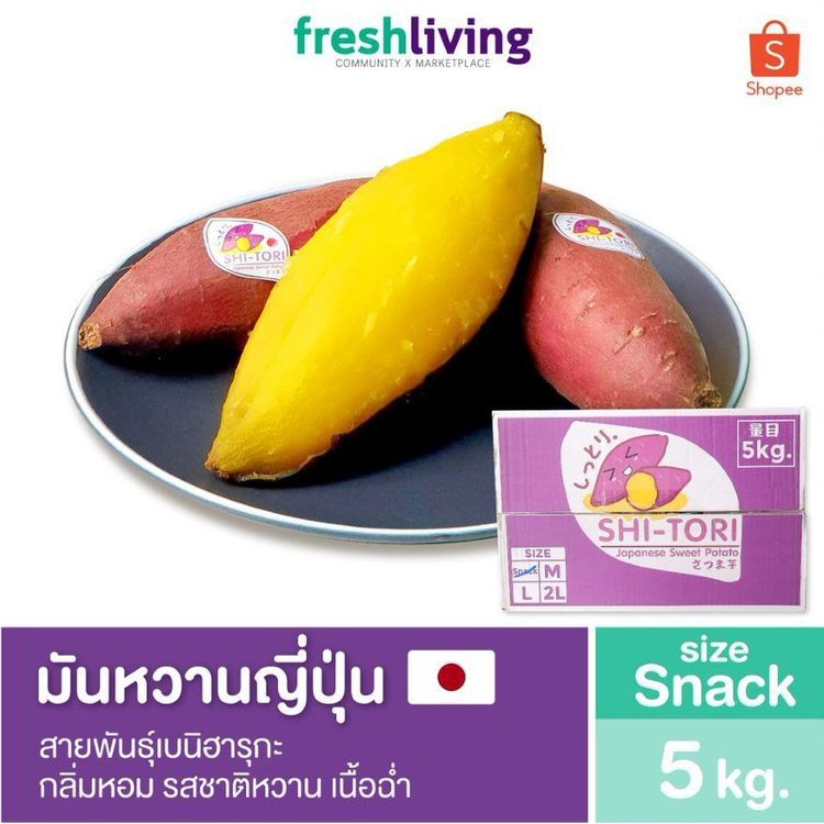 No. 2 - SHI-TORI  มันหวานญี่ปุ่น พันธุ์เบนิฮารุกะ ขนาดไซซ์ M - 1
