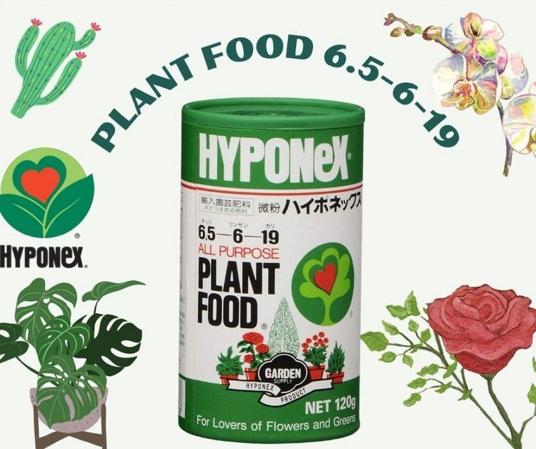 No. 8 - ปุ๋ยผัก Plant Food - 1