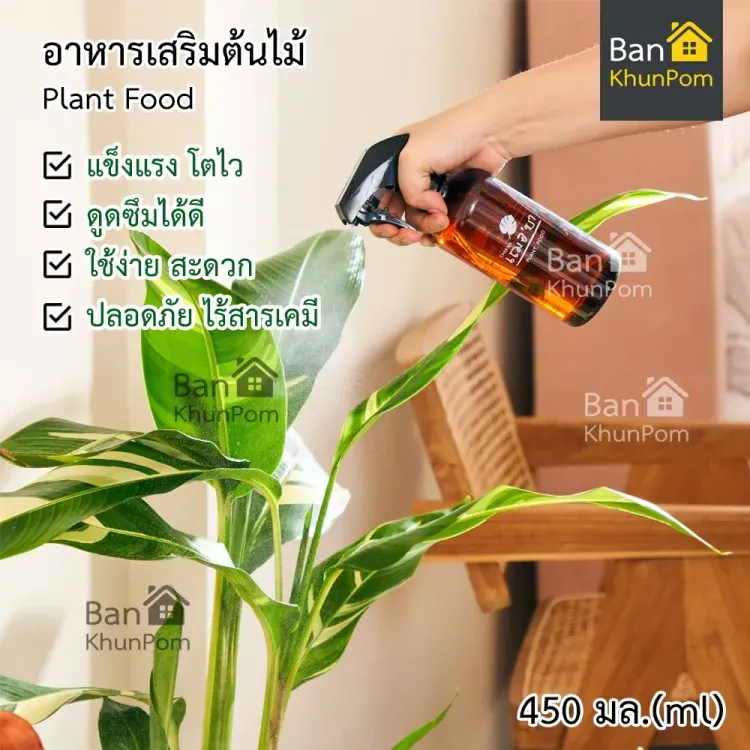 No. 8 - ปุ๋ยผัก Plant Food - 2