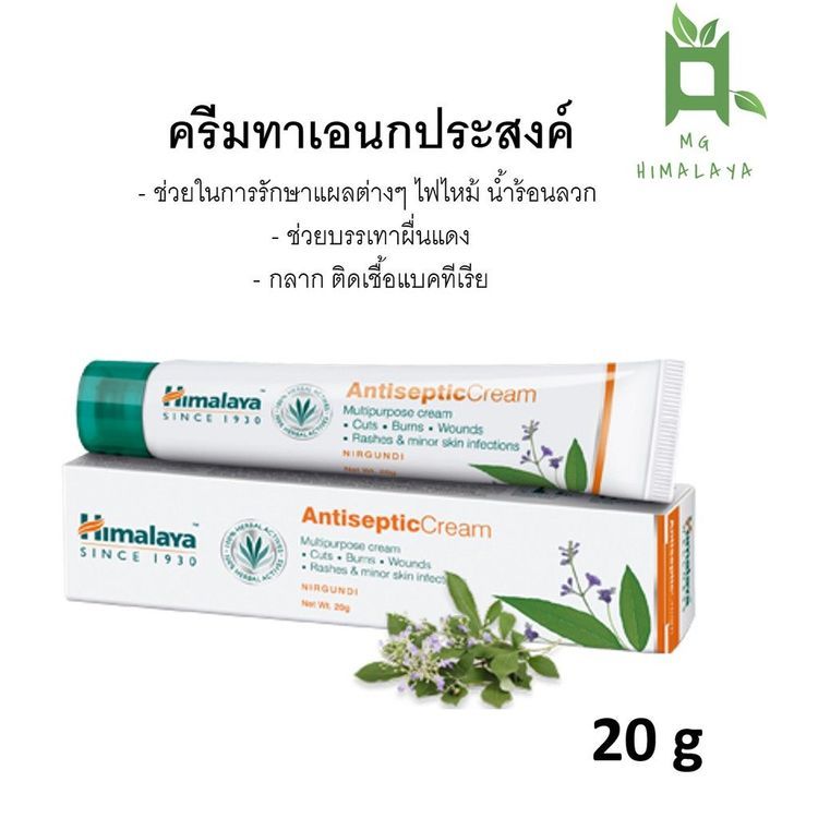 No. 1 - ยาทาเชื้อราขาหนีบ Himalaya Antiseptic Cream - 1