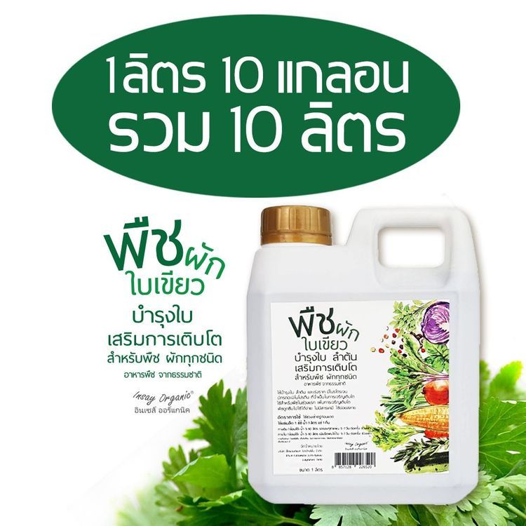 No. 5 - ปุ๋ยผัก สำหรับผักใบเขียว INSAY ORGANIC - 6