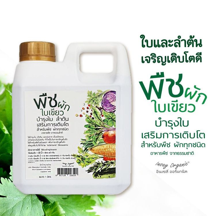 No. 5 - ปุ๋ยผัก สำหรับผักใบเขียว INSAY ORGANIC - 1