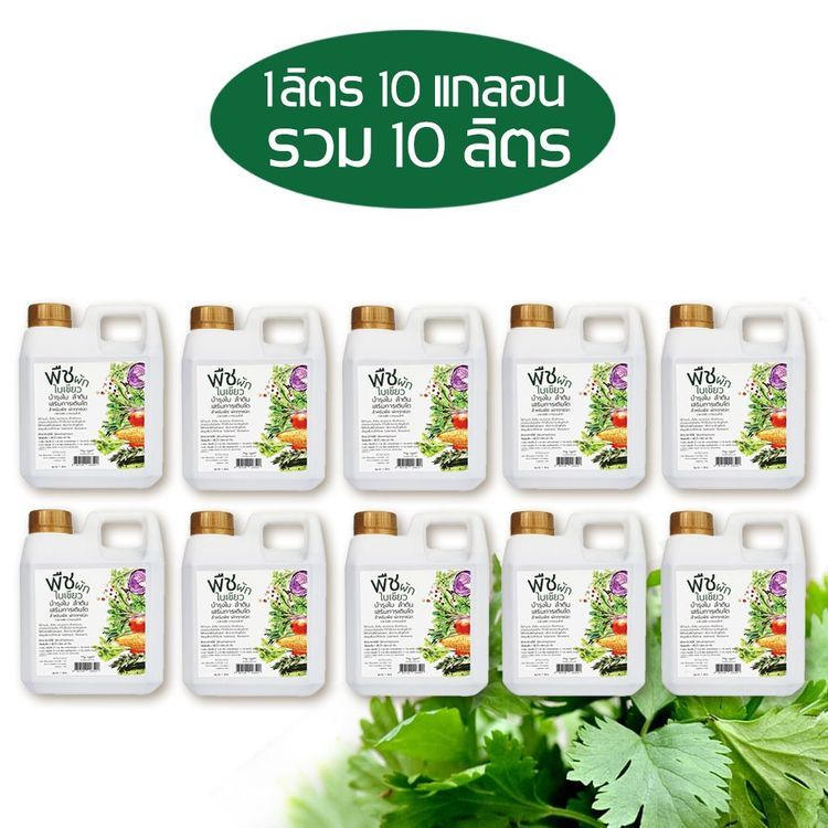 No. 5 - ปุ๋ยผัก สำหรับผักใบเขียว INSAY ORGANIC - 4