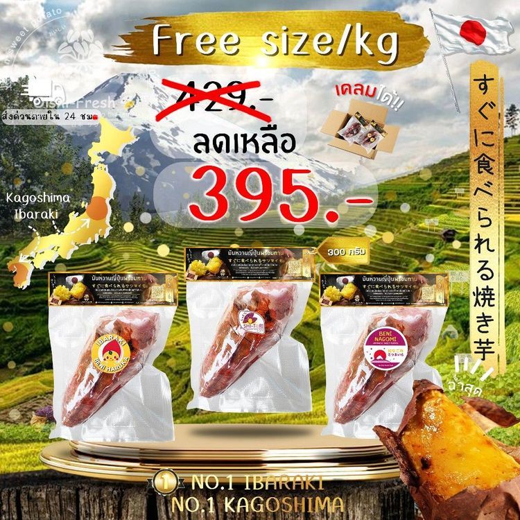 No. 8 - BAN MUN WHAN  มันหวานญี่ปุ่น เบนิฮารุกะ พร้อมทาน - 1