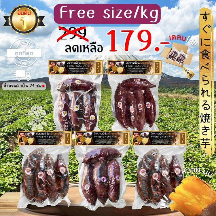 No. 4 - BAN MUN WHAN มันหวานญี่ปุ่นแท้ - 3