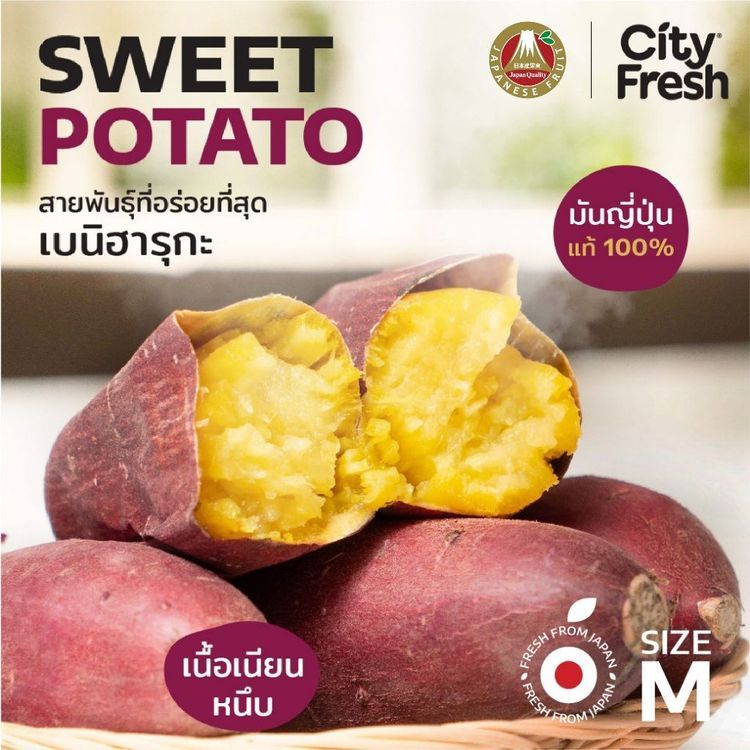 No. 5 - CityFresh มันหวานญี่ปุ่น เบนิฮารุกะ - 1