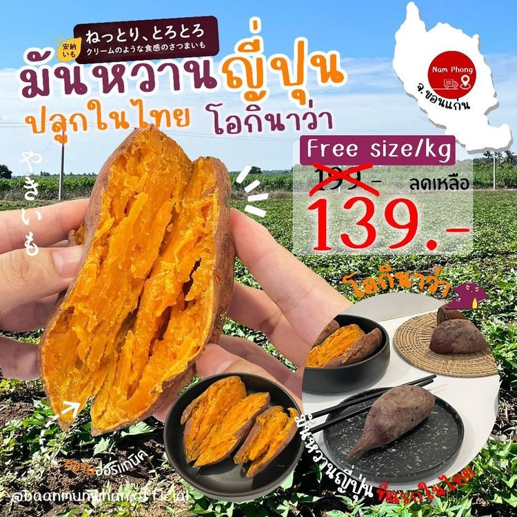 No. 4 - BAN MUN WHAN มันหวานญี่ปุ่นแท้ - 5